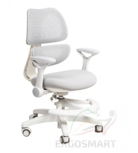 Ergosmart Antey