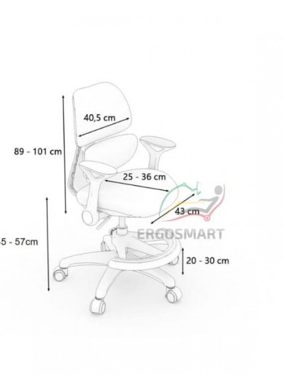 Ergosmart Antey