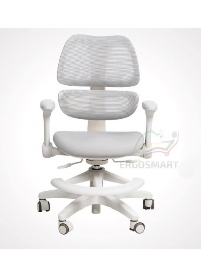 Ergosmart Antey