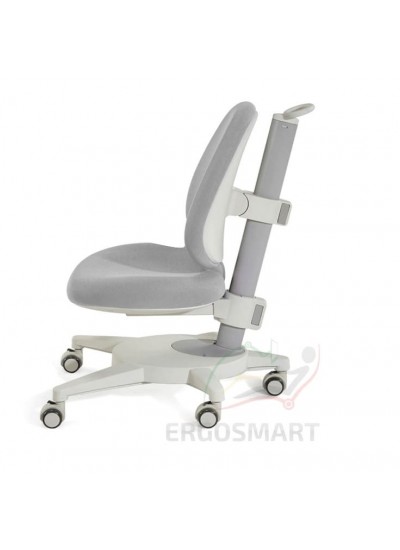 Ergosmart Gulliver