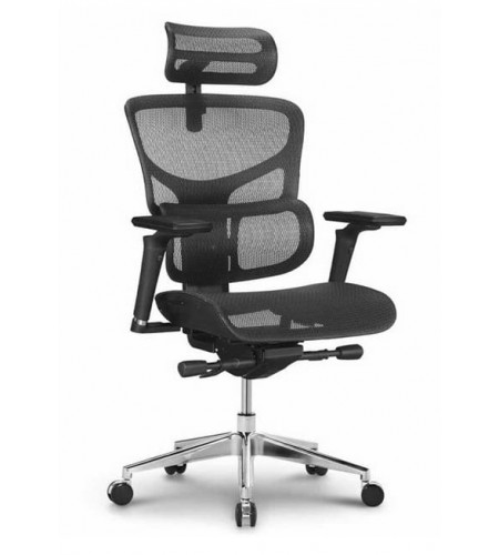 Ergostyle Sail Pro