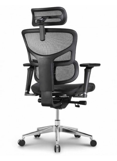 Ergostyle Sail Pro