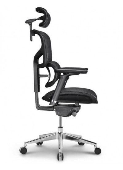 Ergostyle Sail Pro