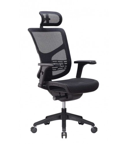 Ergostyle Vista