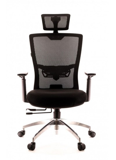 Everprof Polo